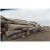 Image 2 : Approx 1000 Cords of White Ash/West Coast Timbers. Quantity is estimated - bid accordingly.