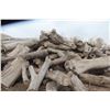 Image 31 : Approx 1000 Cords of White Ash/West Coast Timbers. Quantity is estimated - bid accordingly.