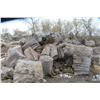 Image 33 : Approx 1000 Cords of White Ash/West Coast Timbers. Quantity is estimated - bid accordingly.