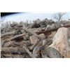 Image 35 : Approx 1000 Cords of White Ash/West Coast Timbers. Quantity is estimated - bid accordingly.