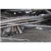 Image 4 : Approx 1000 Cords of White Ash/West Coast Timbers. Quantity is estimated - bid accordingly.