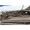 Image 5 : Approx 1000 Cords of White Ash/West Coast Timbers. Quantity is estimated - bid accordingly.