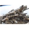Image 7 : Approx 1000 Cords of White Ash/West Coast Timbers. Quantity is estimated - bid accordingly.