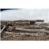 Image 8 : Approx 1000 Cords of White Ash/West Coast Timbers. Quantity is estimated - bid accordingly.