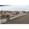 Image 9 : Approx 1000 Cords of White Ash/West Coast Timbers. Quantity is estimated - bid accordingly.