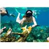 Image 7 : Costa Rica Luxury Escape: Beach or Volcano Adventure