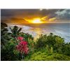 Image 10 : Paradise Found: A Customized Hawaii Escape
