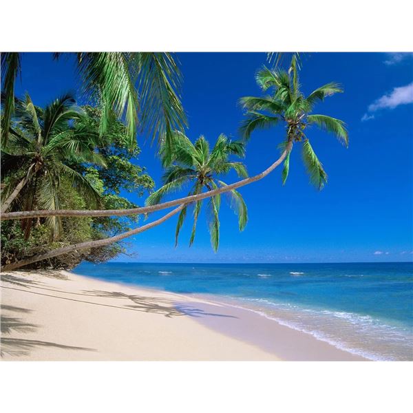 Fiji Bliss: Villa Stay & Private Island Adventure