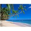 Image 1 : Fiji Bliss: Villa Stay & Private Island Adventure