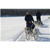 Image 2 : Finland Winter Wonderland