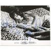 Image 1 : The Devil Within Her Joan Collins signed  movie still