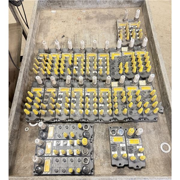Lot of Turck Modules
