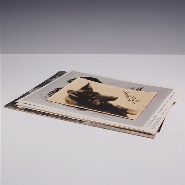 14pc Hollywood Memorabilia Collection Including 1940s Movie Photos, Rin Tin Tin w/ Printed Autograph