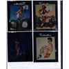 Image 2 : 16pc Pinup and Artwork Photo Positives