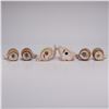 Image 3 : 6pc Japanese Risque Novelty Ceramic Salt & Pepper Shakers