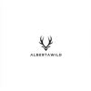 Image 11 : One on One guided Rifle Elk Hunt in a 6 point or better zone outside of Grande Cashe, Alberta
