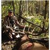 Image 4 : One on One guided Rifle Elk Hunt in a 6 point or better zone outside of Grande Cashe, Alberta