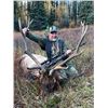 Image 5 : One on One guided Rifle Elk Hunt in a 6 point or better zone outside of Grande Cashe, Alberta