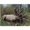 Image 6 : One on One guided Rifle Elk Hunt in a 6 point or better zone outside of Grande Cashe, Alberta