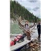 Image 8 : One on One guided Rifle Elk Hunt in a 6 point or better zone outside of Grande Cashe, Alberta