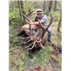 Image 9 : One on One guided Rifle Elk Hunt in a 6 point or better zone outside of Grande Cashe, Alberta