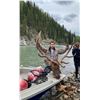 Image 2 : RAFFLE: Cancer Treatment Fundraiser- Bull Elk Trophy Zone Years in the Making 300/350 class