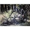 Image 5 : RAFFLE: Cancer Treatment Fundraiser- Bull Elk Trophy Zone Years in the Making 300/350 class