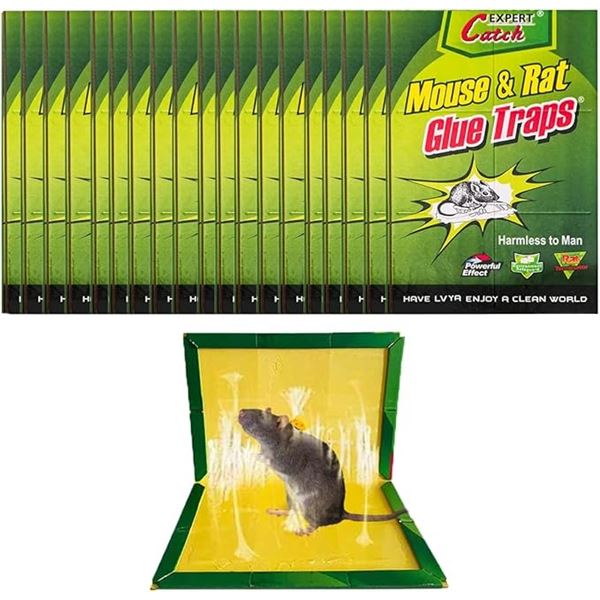 25-Pack Box of Expert Catch Large Mouse & Rat Glue Traps (12.6" x 8.5") Enhanced Stickiness - New!
