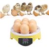 Image 11 : Smart Mini Incubator; 7-Egg Fully Automatic/Intelligent Temp Control Egg Incubator - New!