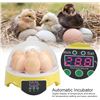 Image 5 : Smart Mini Incubator; 7-Egg Fully Automatic/Intelligent Temp Control Egg Incubator - New!