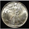 Image 1 : 1993 AMERICAN SILVER EAGLE