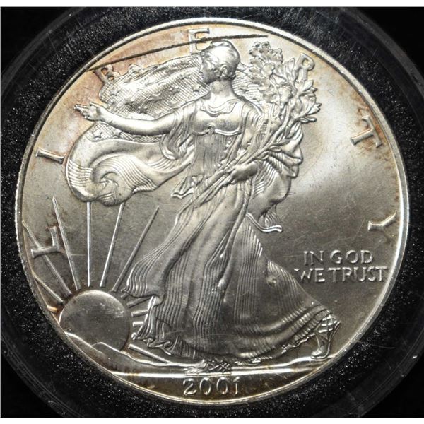 2001 AMERICAN SILVER EAGLE