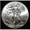Image 1 : 2013 AMERICAN SILVER EAGLE