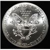 Image 2 : 2013 AMERICAN SILVER EAGLE