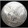 Image 2 : 2024 AMERICAN SILVER EAGLE