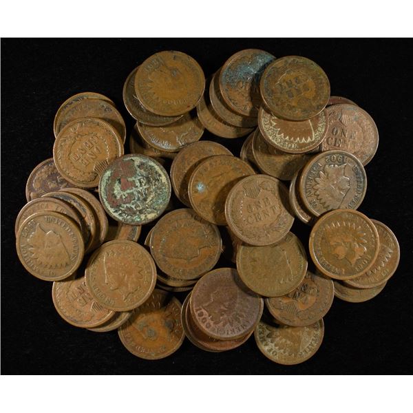 (50) INDIAN HEAD CENTS