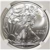Image 2 : 2011 AMERICAN SILVER EAGLE PCGS MS69