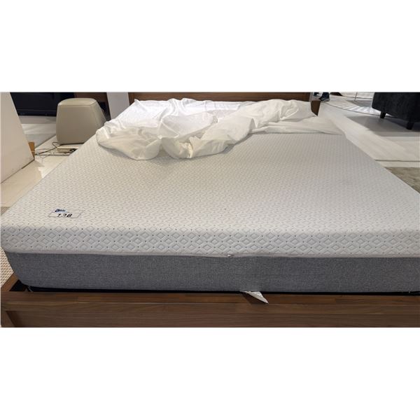 QUEEN SIZE STORE DISPLAY FOAM MATTRESS 10"
