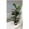 Image 1 : ARTIFICIAL PLANT.