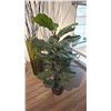 Image 2 : GROUP OF THREE DECOR ITEMS. 2 GLASS VASES. ARTIFICIAL PLANT. OVER $500 RETAIL