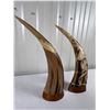 Image 4 : Carved Horns