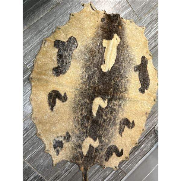 Sealskin artwork