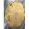 Image 2 : Sealskin artwork