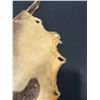 Image 3 : Sealskin artwork
