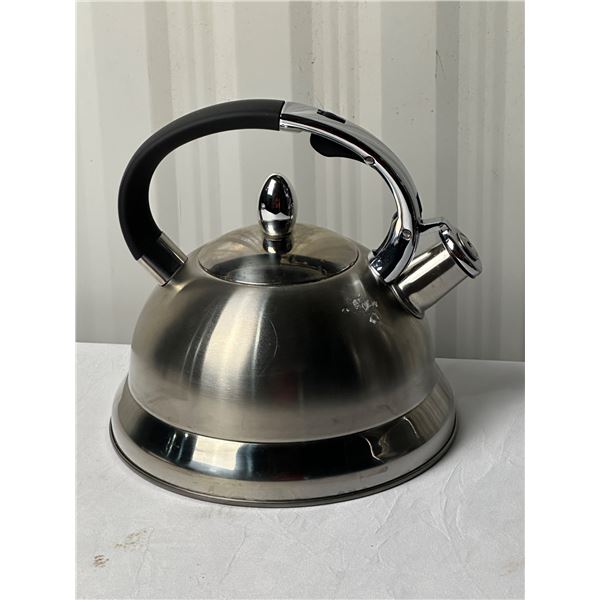 Stainless Steel Tea Kettle