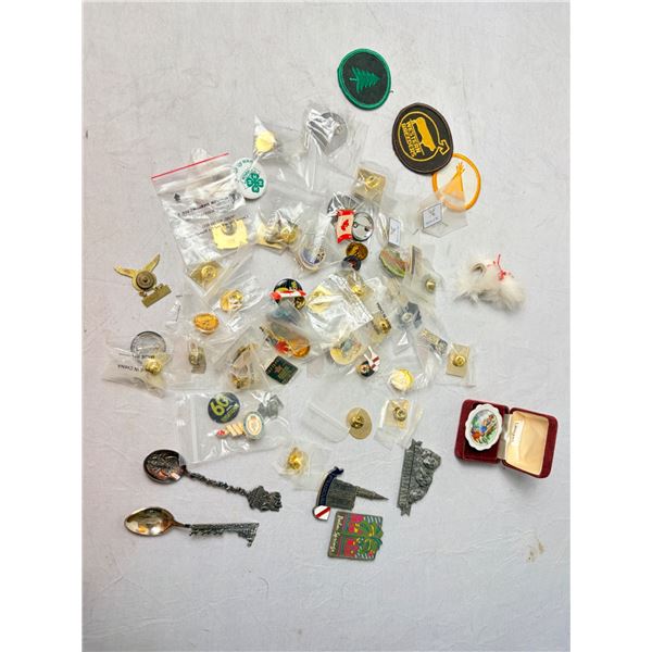 Variety of pins and buttons, Limoges mini plate,Gilbrater and Strausberg  magnets