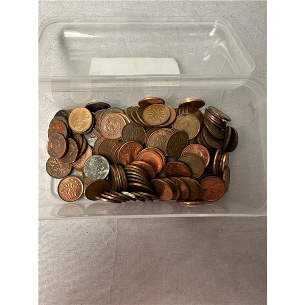 Penny collection 1 lb 2 oz.