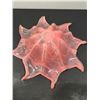 Image 3 : Art Glass Large Dish