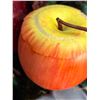 Image 5 : Large Autumn Harvest Planter