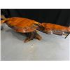 Image 2 : Live Edge Wood Coffee Table